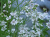 A photo on Flickr