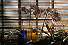 A photo on Flickr