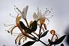 A photo on Flickr