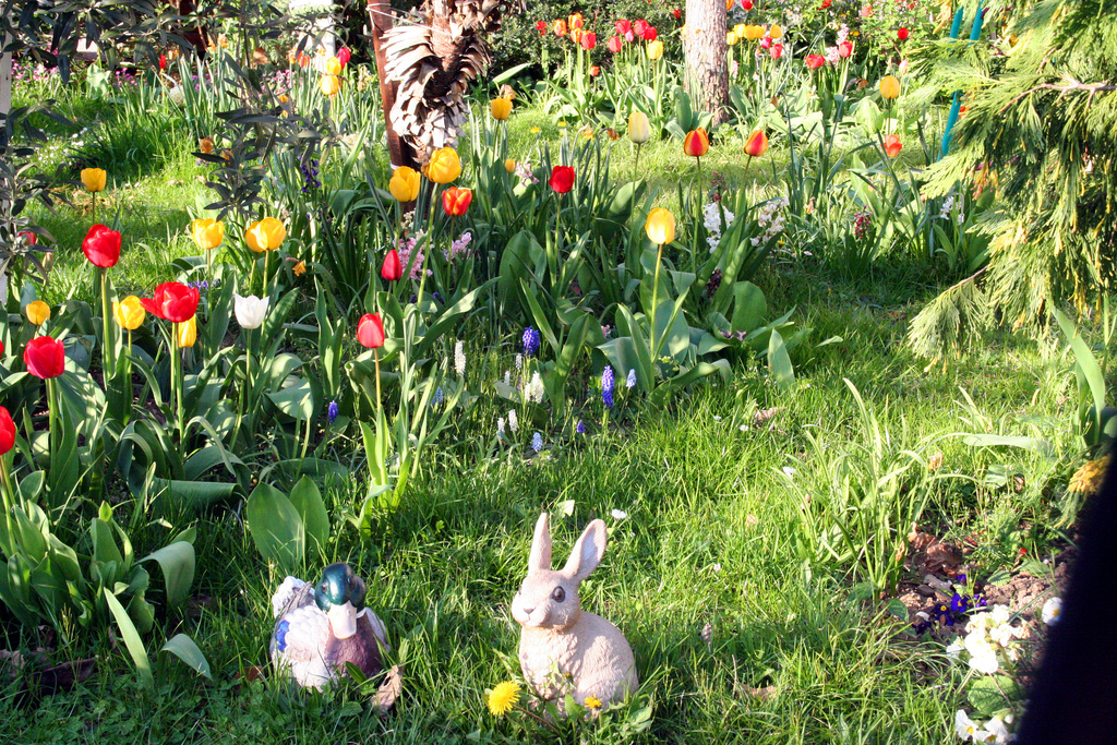 KITCH SUBURBAN FAIRY TALE