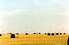 Une photo sur Flickr