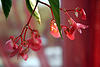 A photo on Flickr