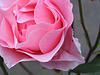 A photo on Flickr