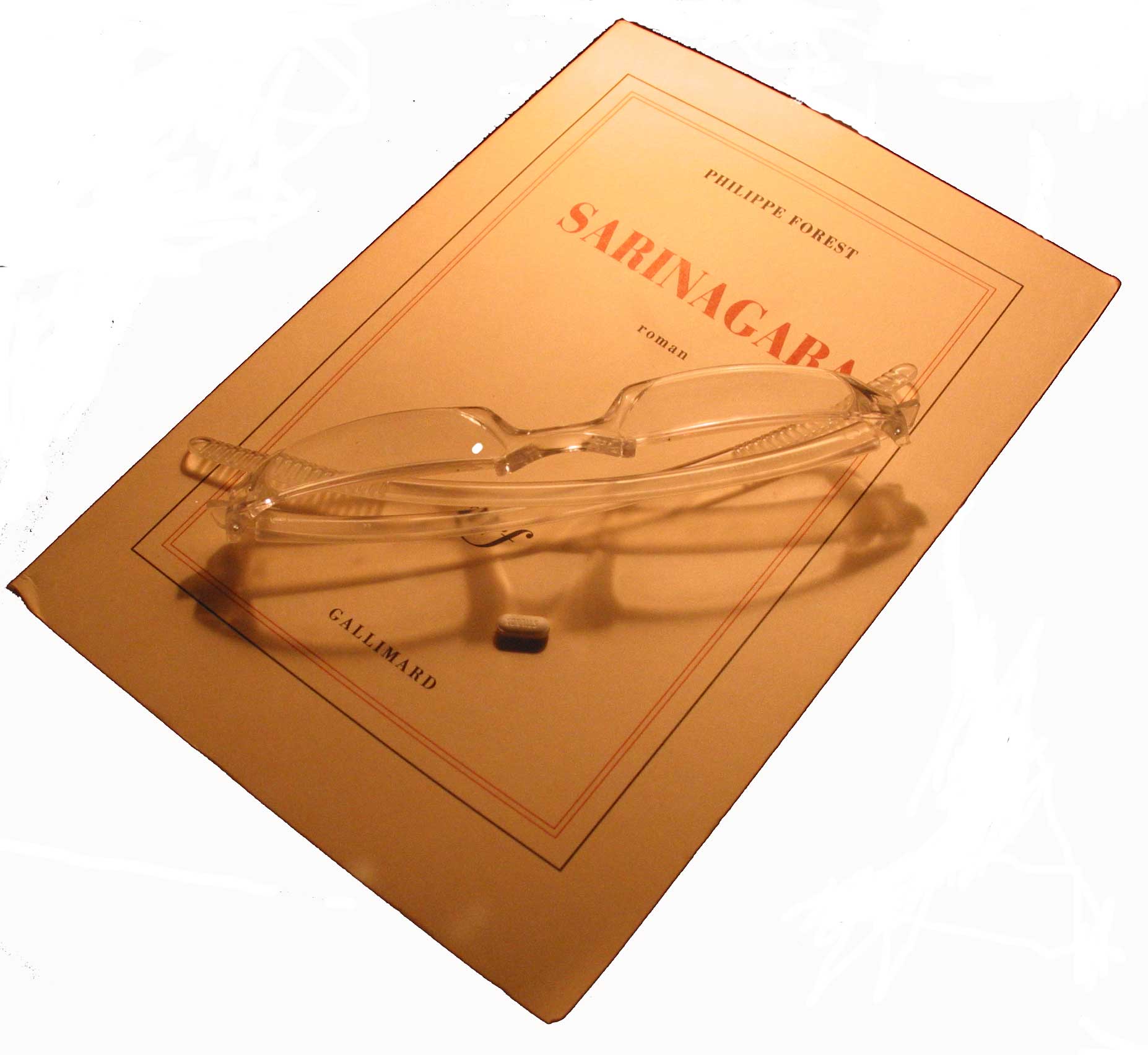 très beau livre