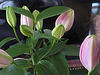 A photo on Flickr