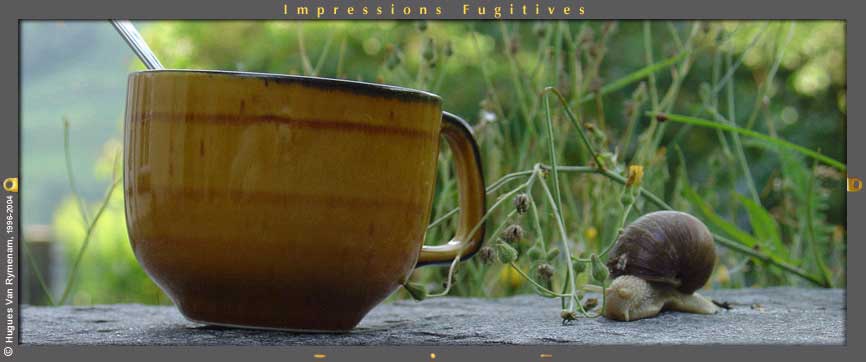 impressions fugitives