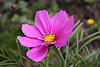A photo on Flickr