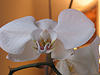 A photo on Flickr