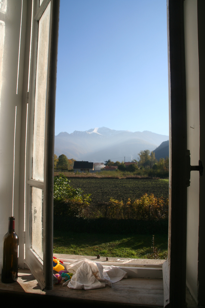 WINDOW