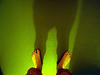 A photo on Flickr
